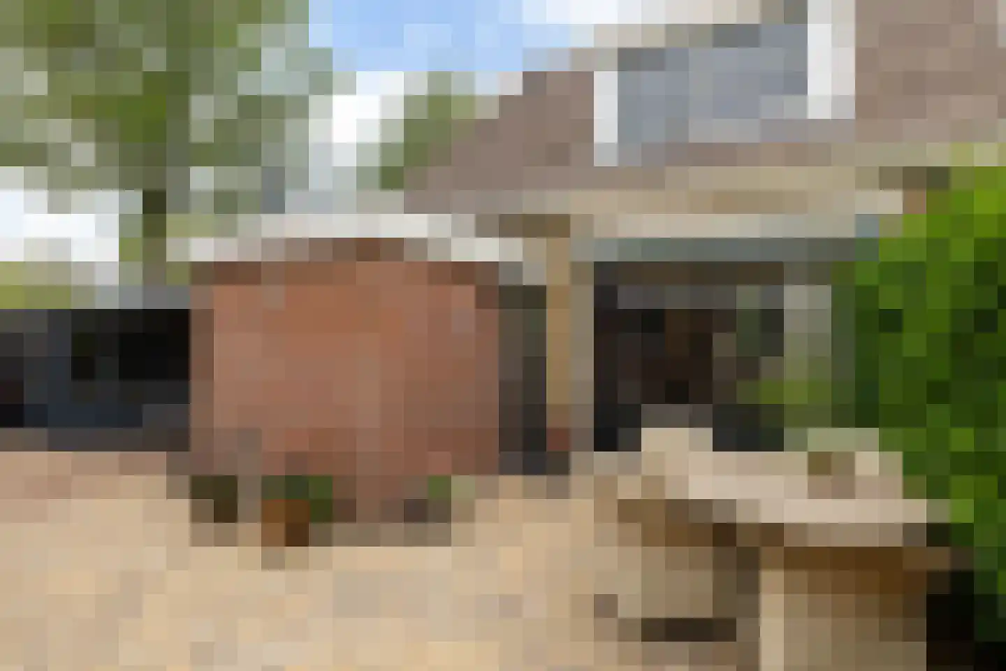 Oosteinde 50 St.-Jacobiparochie thumbnail 49
