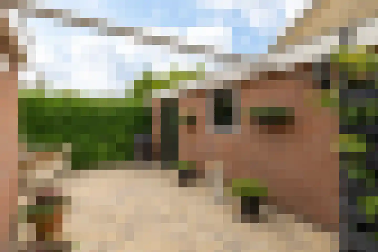 Oosteinde 50 St.-Jacobiparochie thumbnail 54