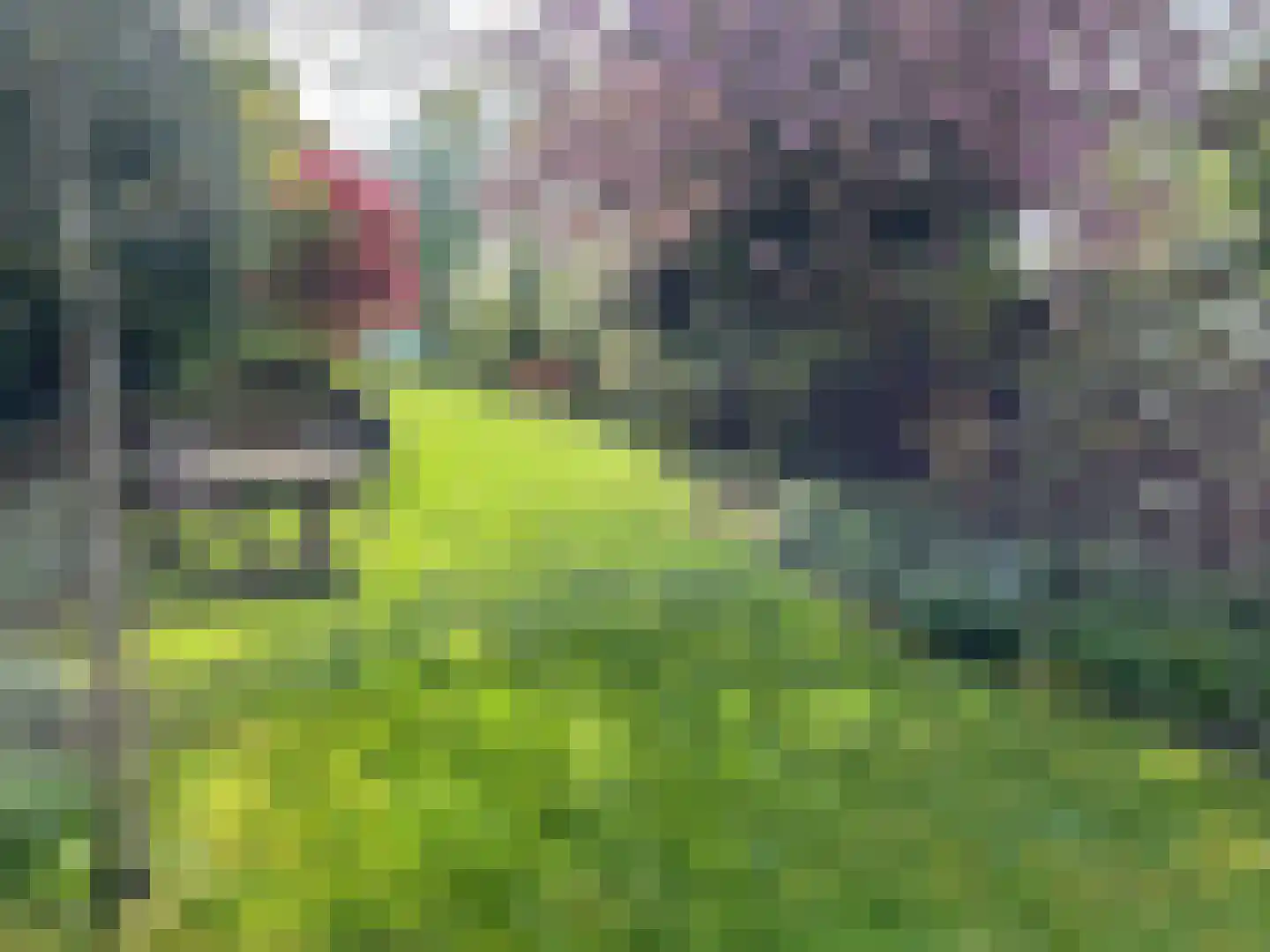Oosteinde 50 Voorburg thumbnail 22