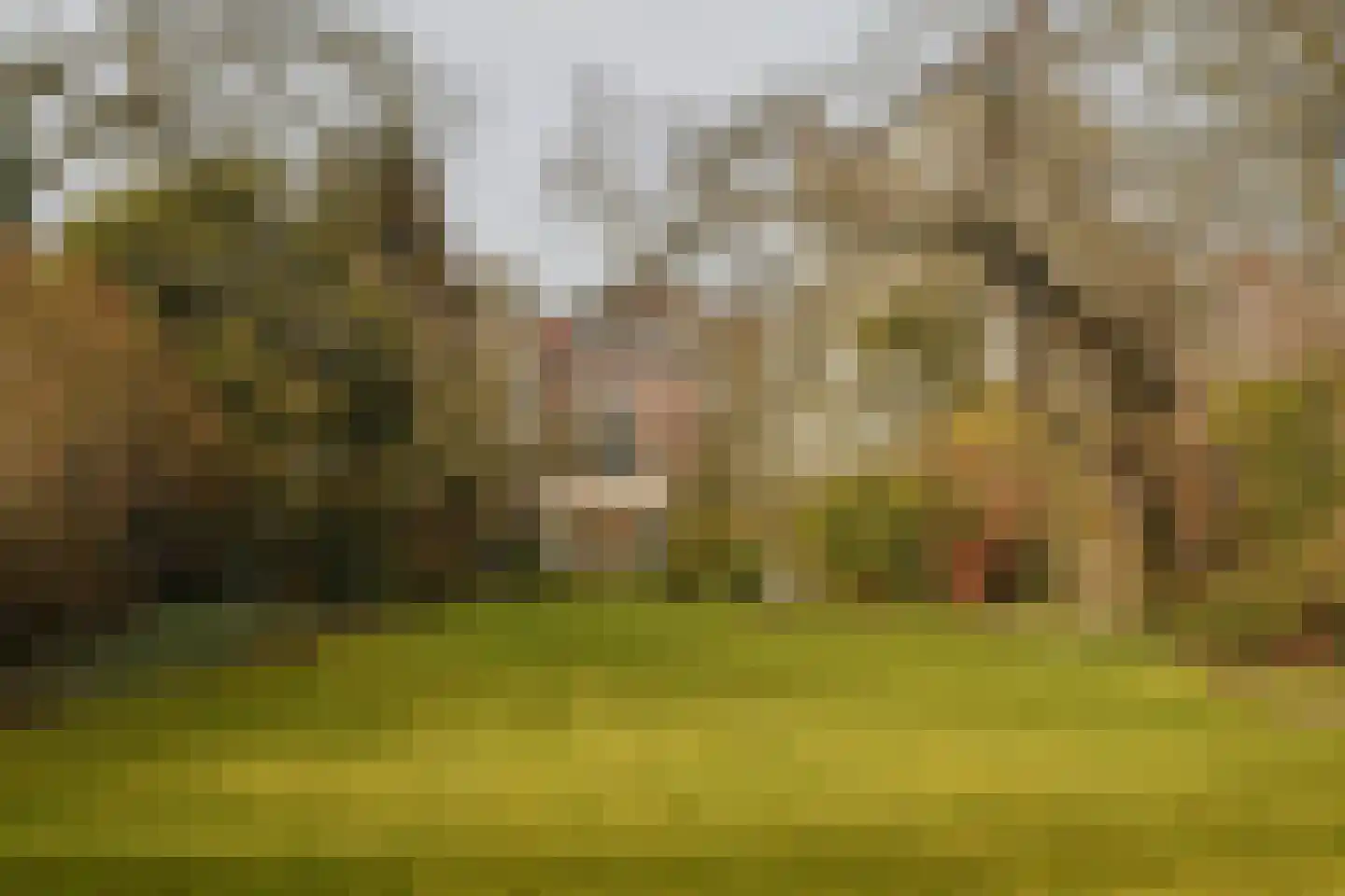 Oosteinde 50 Voorburg thumbnail 27