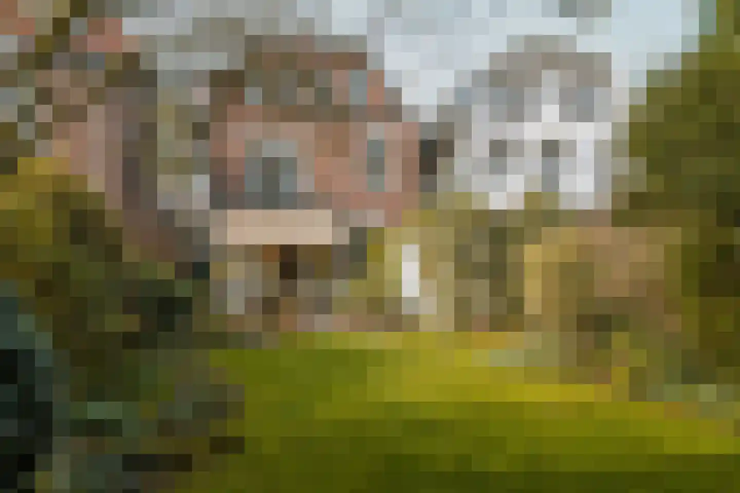 Oosteinde 50 Voorburg thumbnail 28