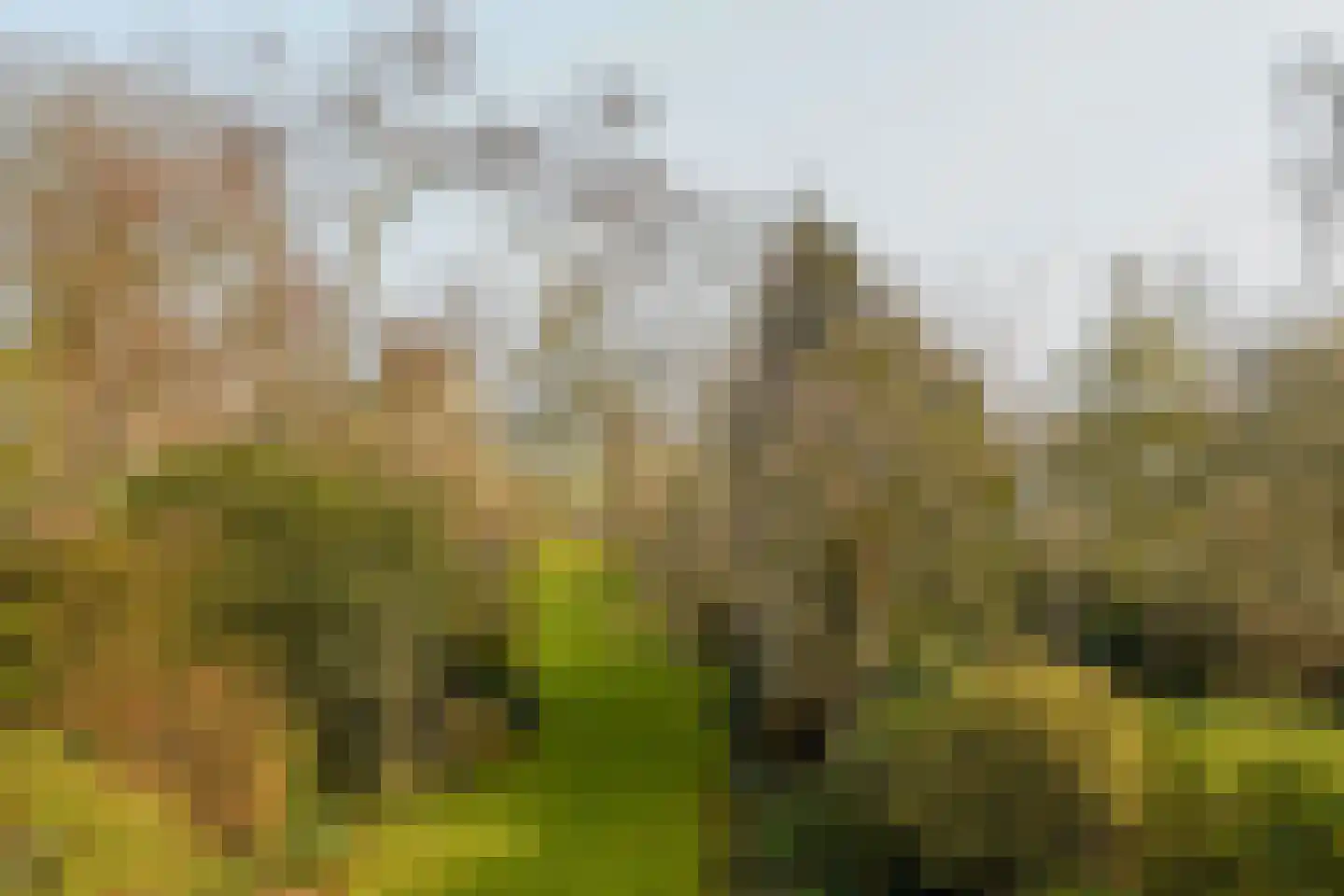 Oosteinde 50 Voorburg thumbnail 38