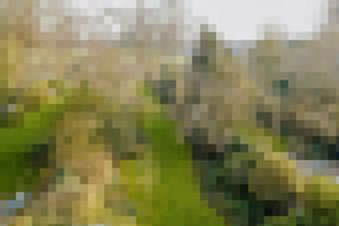 Oosteinde 50 Voorburg thumbnail 48