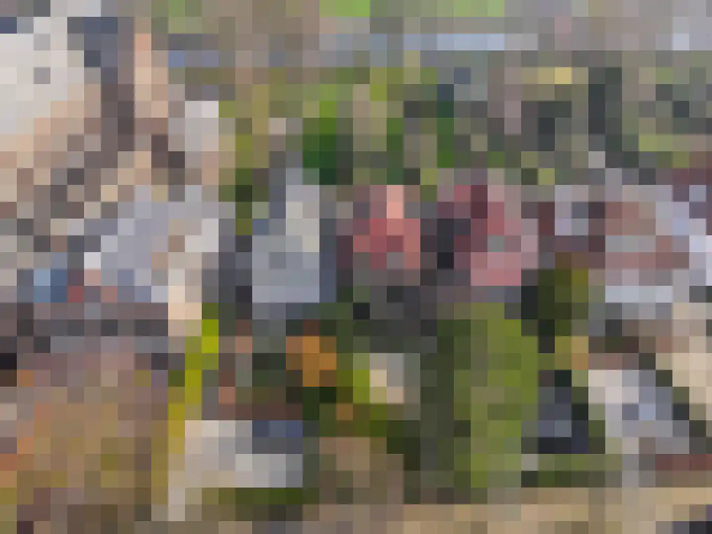 Oosteinde 50 Voorburg thumbnail 5