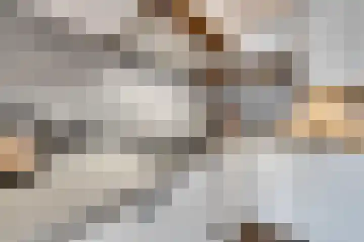 Oosteinde 51 De Rijp thumbnail 13