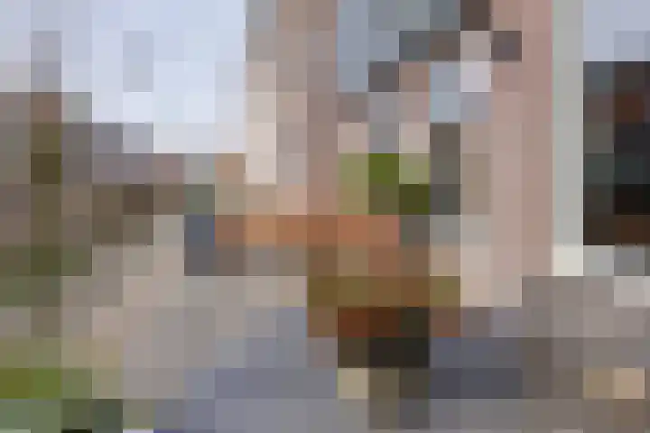 Oosteinde 51 De Rijp thumbnail 15
