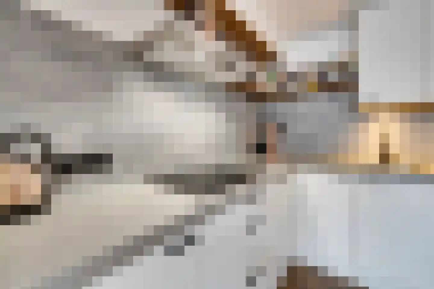 Oosteinde 51 De Rijp thumbnail 15