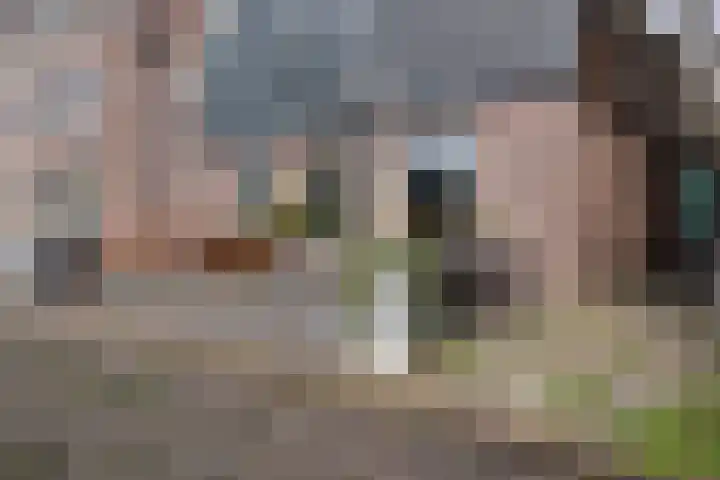 Oosteinde 51 De Rijp thumbnail 16