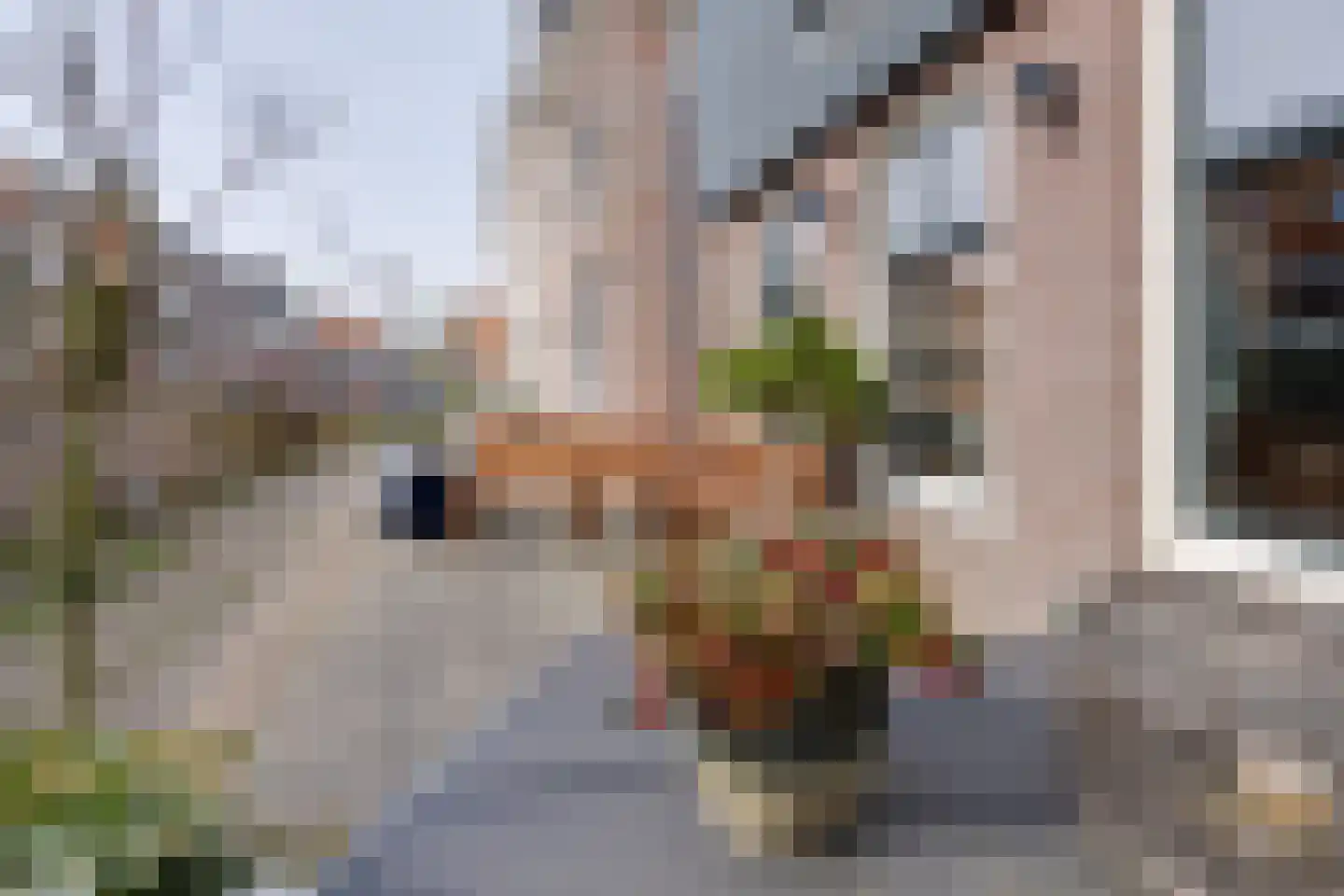 Oosteinde 51 De Rijp thumbnail 17