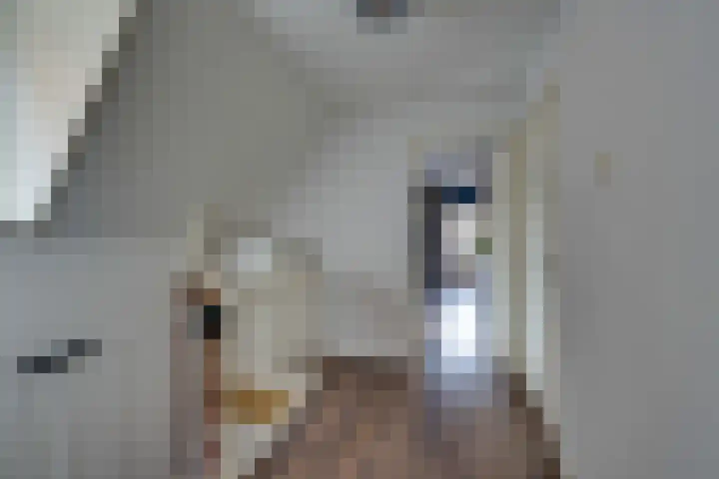 Oosteinde 51 De Rijp thumbnail 24