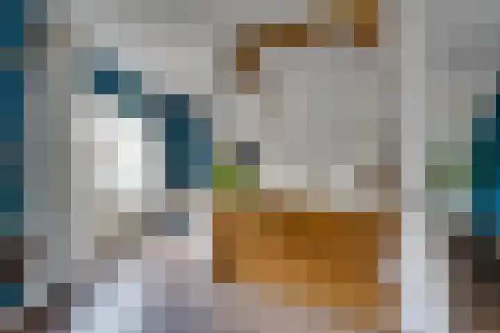 Oosteinde 51 De Rijp thumbnail 28