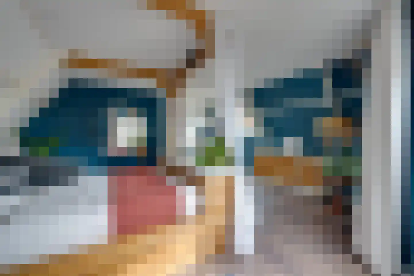 Oosteinde 51 De Rijp thumbnail 28