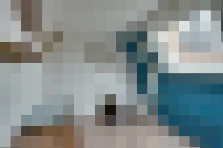 Oosteinde 51 De Rijp thumbnail 34