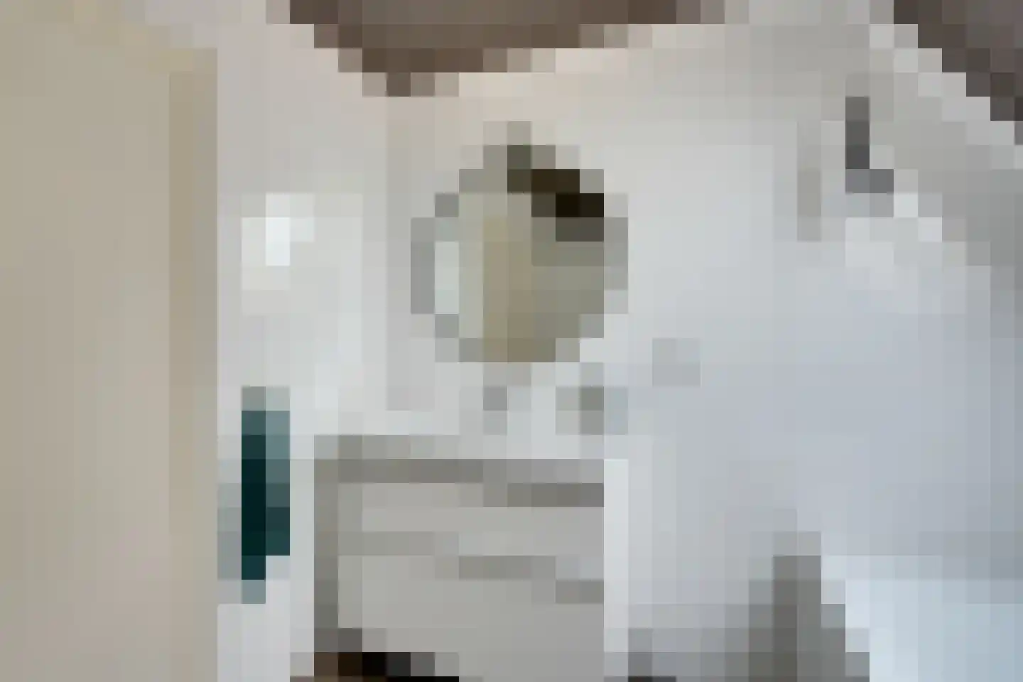 Oosteinde 51 De Rijp thumbnail 41