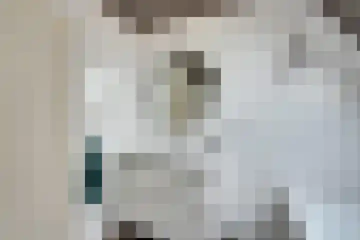 Oosteinde 51 De Rijp thumbnail 41