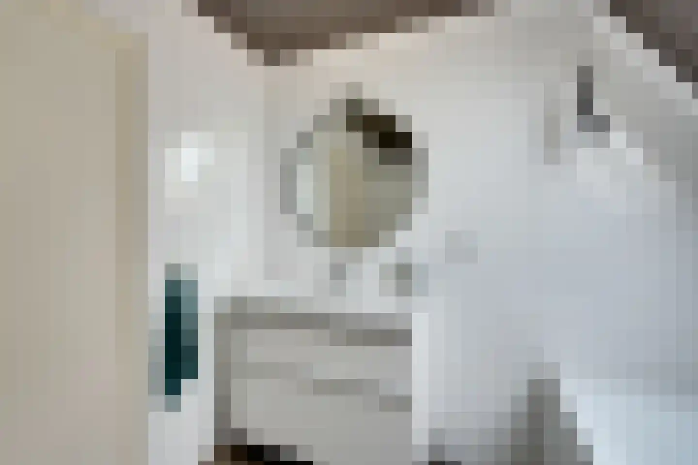 Oosteinde 51 De Rijp thumbnail 42
