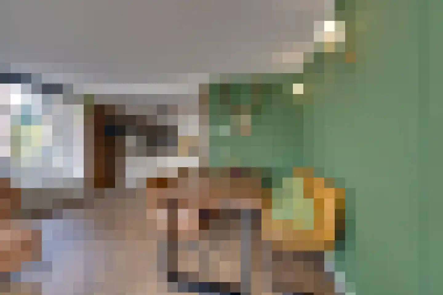 Oosteinde 51 De Rijp thumbnail 9