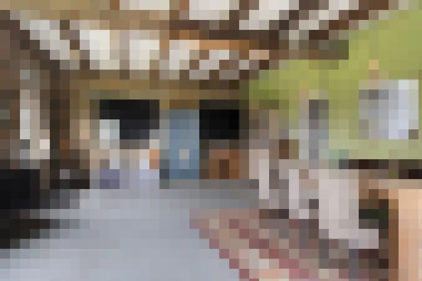 Oosteinde 51 St.-Jacobiparochie thumbnail 27
