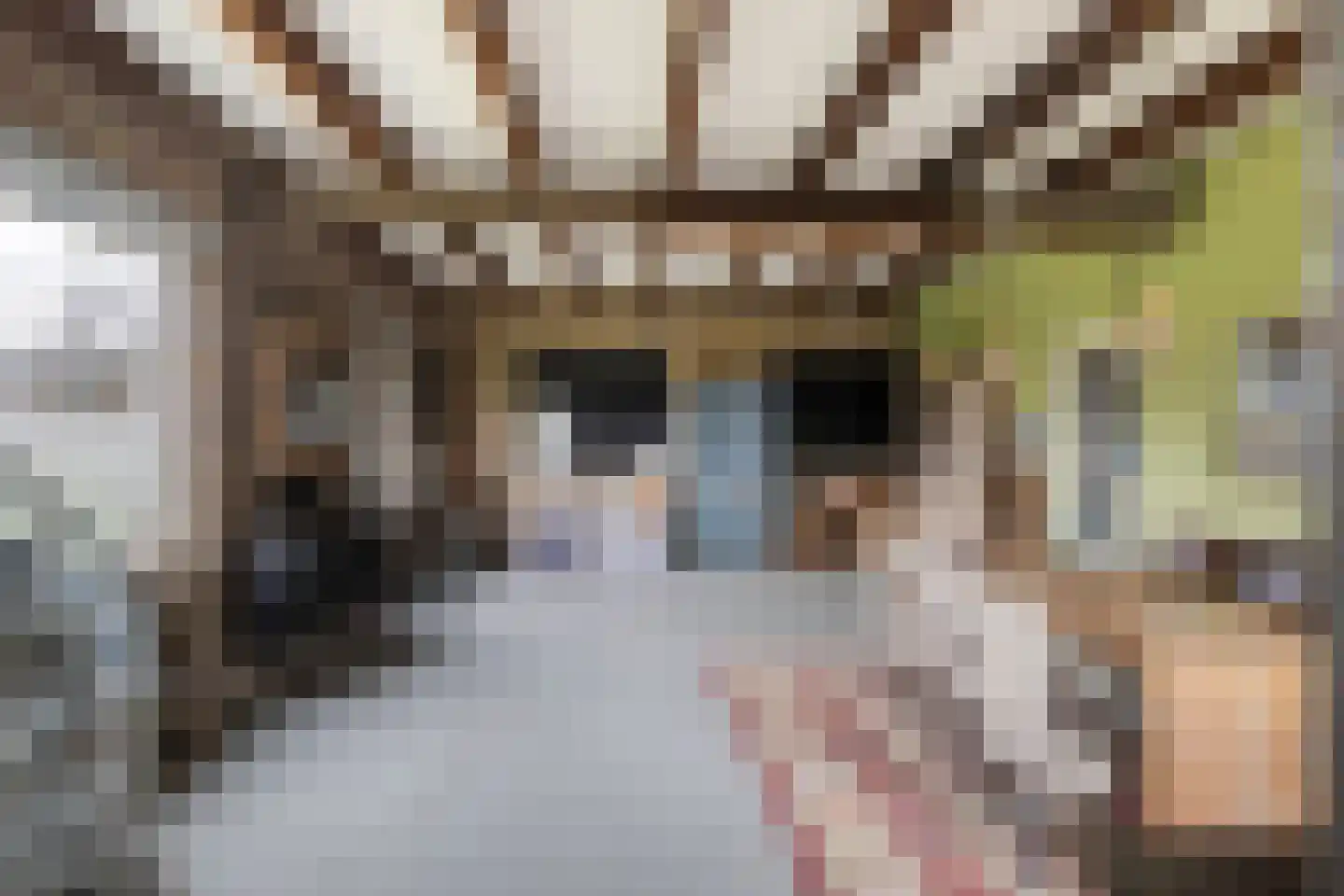 Oosteinde 51 St.-Jacobiparochie thumbnail 29