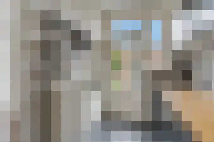 Oosteinde 51 St.-Jacobiparochie thumbnail 52