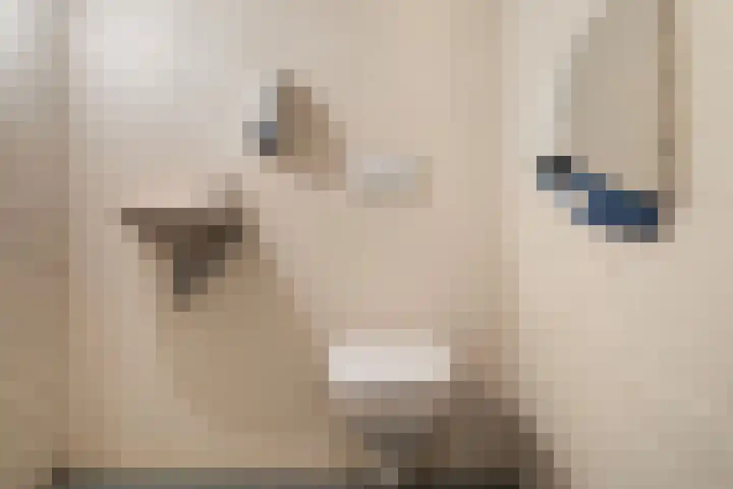 Oosteinde 51 St.-Jacobiparochie thumbnail 69