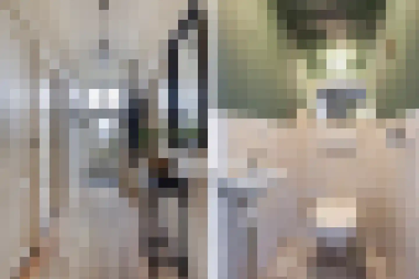 Oosteinde 51 St.-Jacobiparochie thumbnail 7