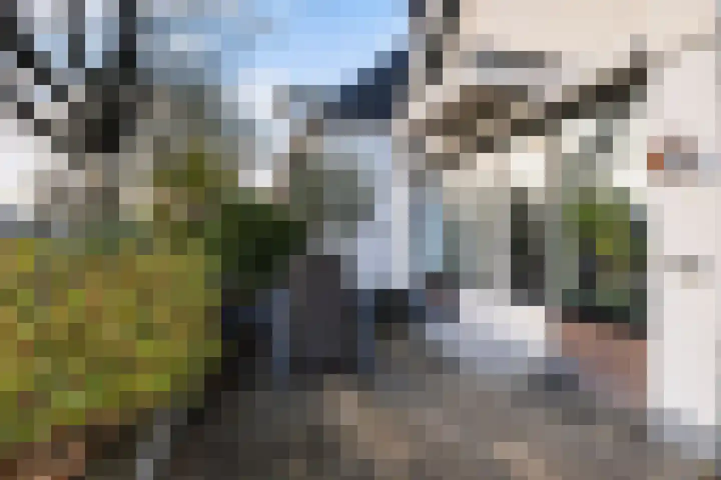 Oosteinde 51 St.-Jacobiparochie thumbnail 72