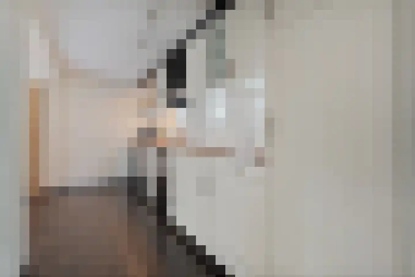 Oosteinde 51 Vriezenveen thumbnail 12