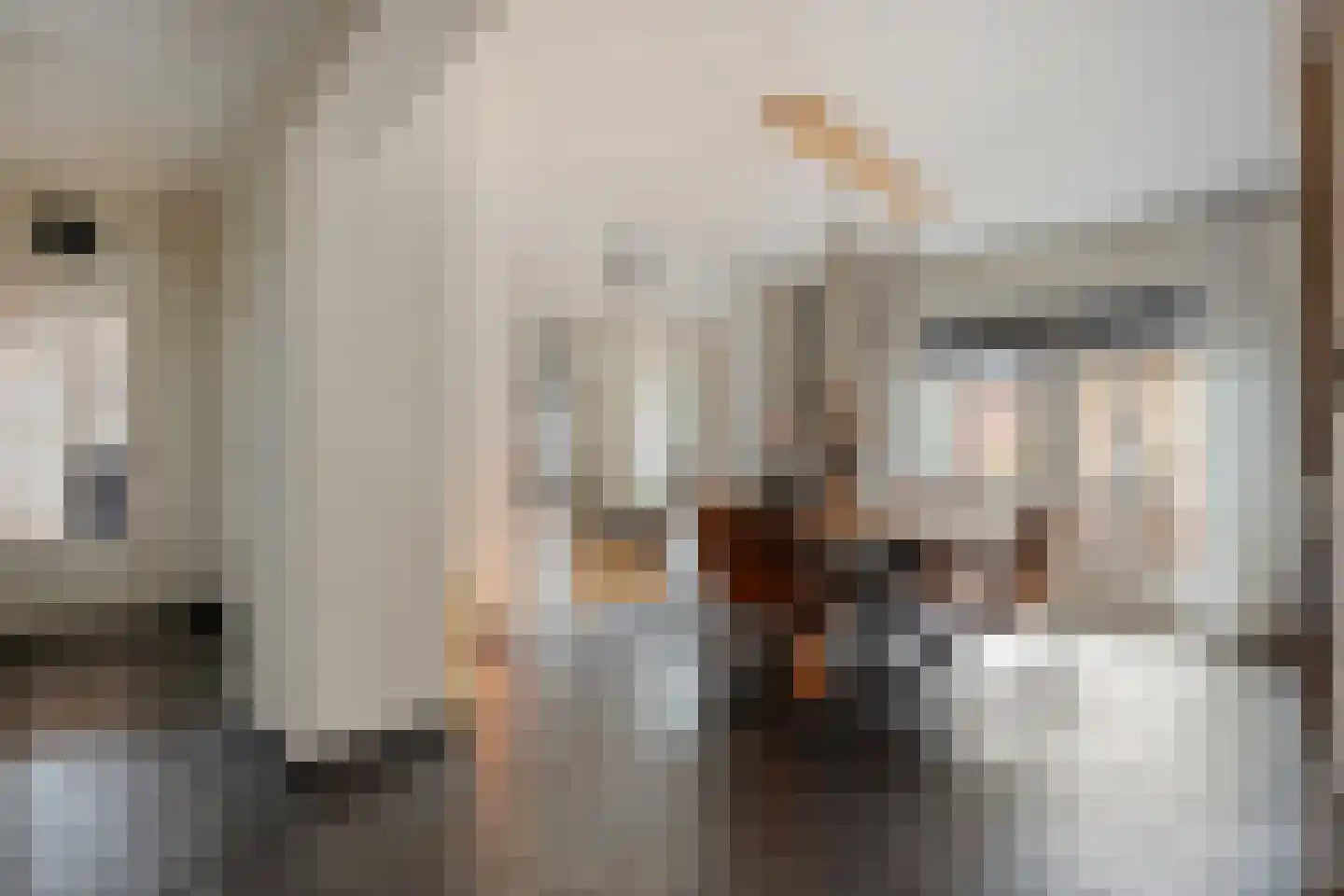 Oosteinde 51 Vriezenveen thumbnail 14