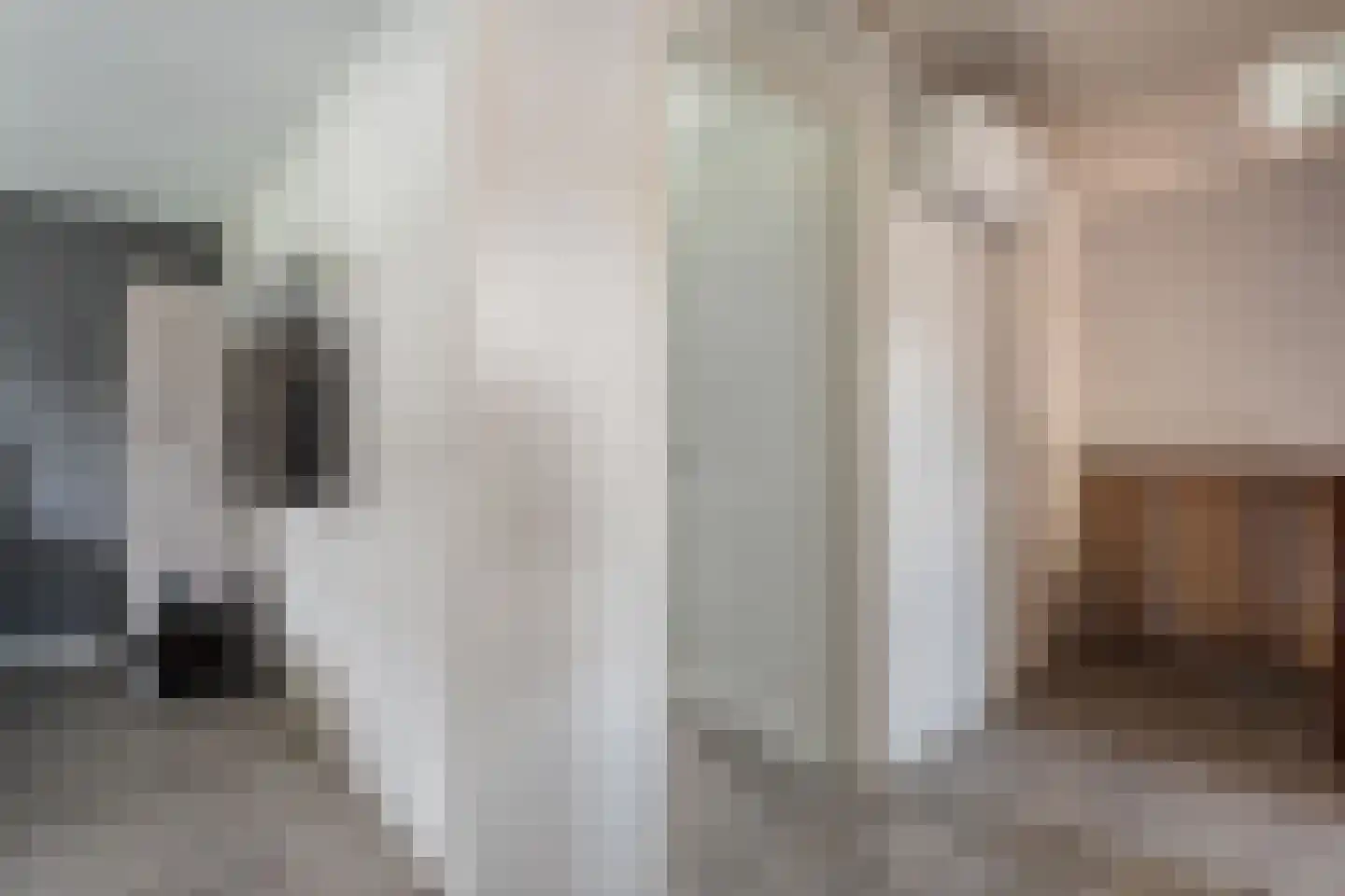 Oosteinde 51 Vriezenveen thumbnail 16