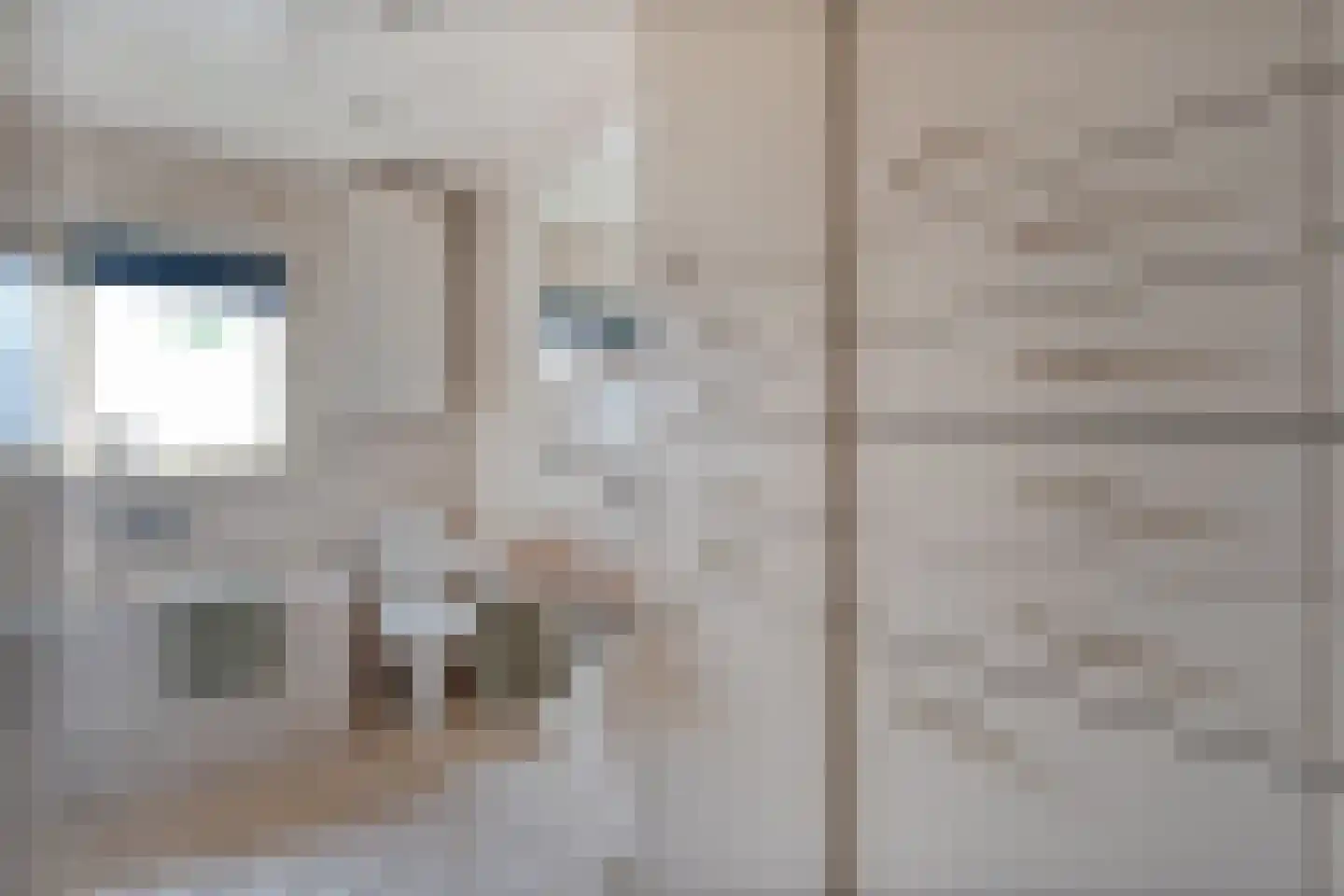 Oosteinde 51 Vriezenveen thumbnail 21