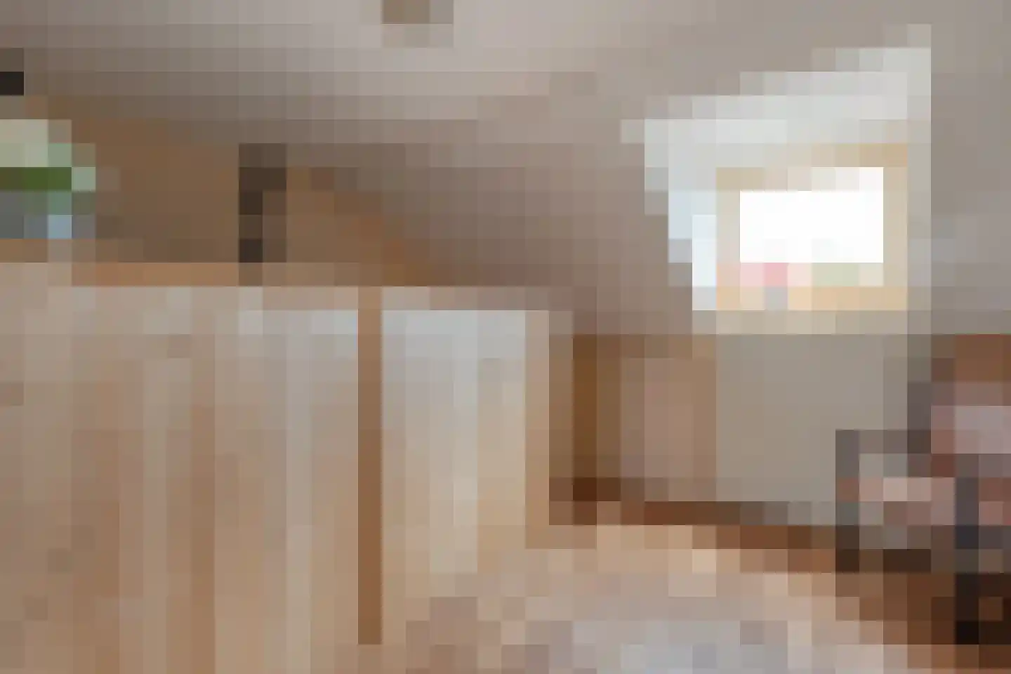 Oosteinde 51 Vriezenveen thumbnail 24
