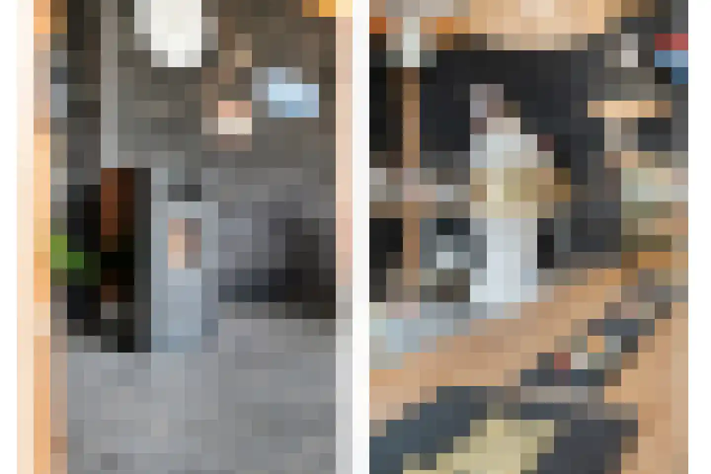 Oosteinde 51 Vriezenveen thumbnail 32