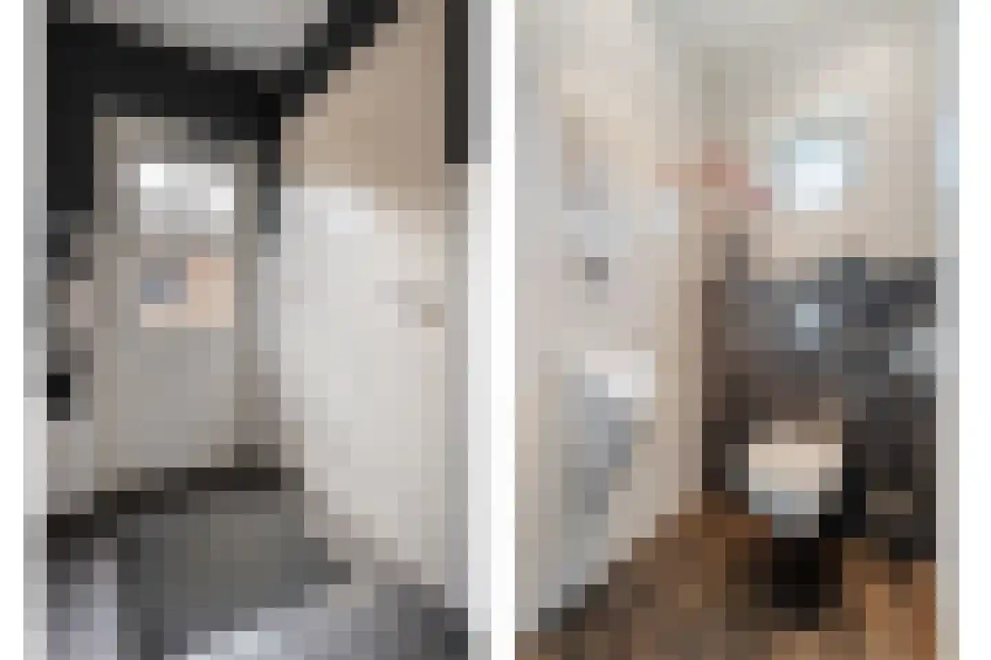 Oosteinde 51 Vriezenveen thumbnail 7