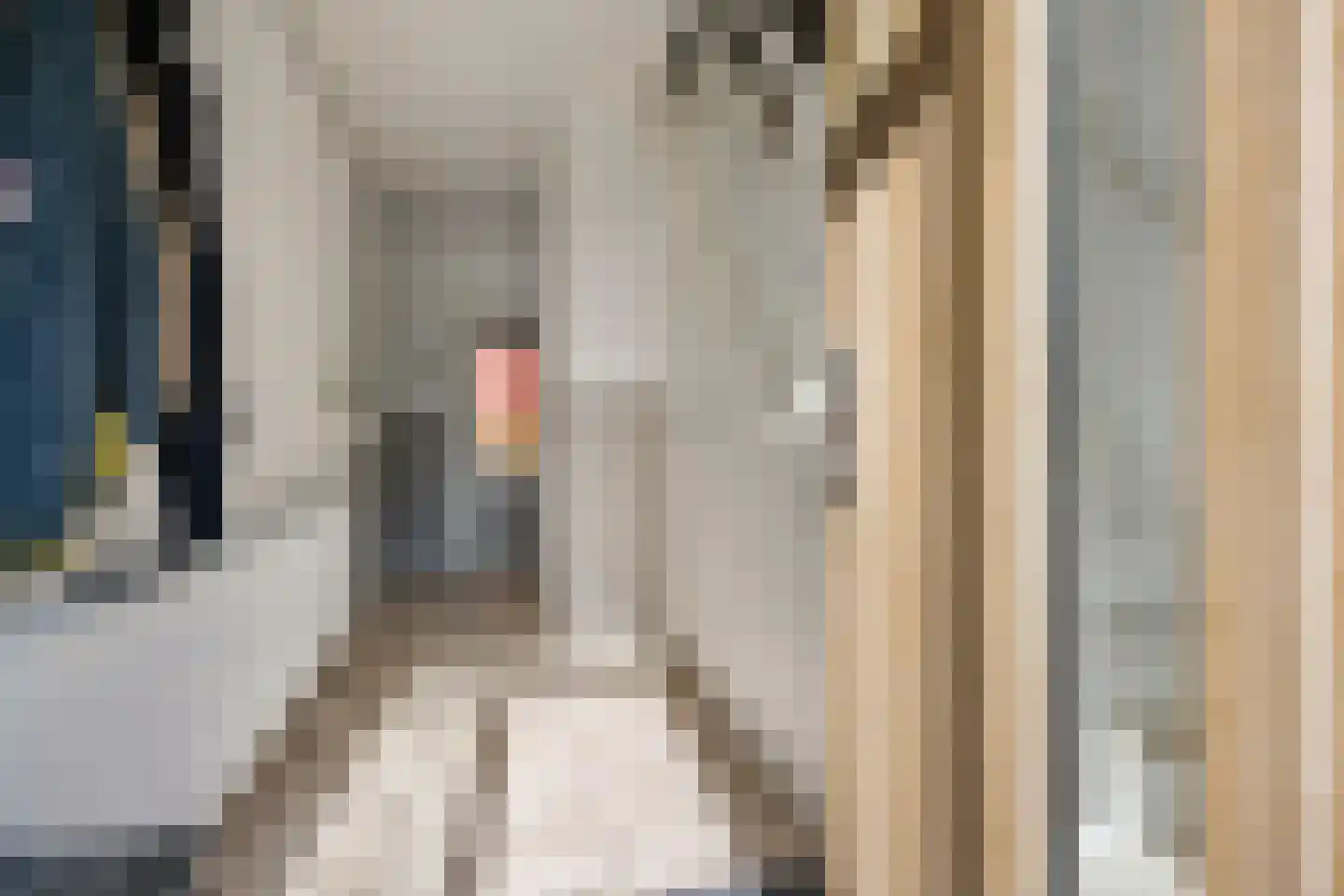 Oosteinde 52 Blijham thumbnail 14