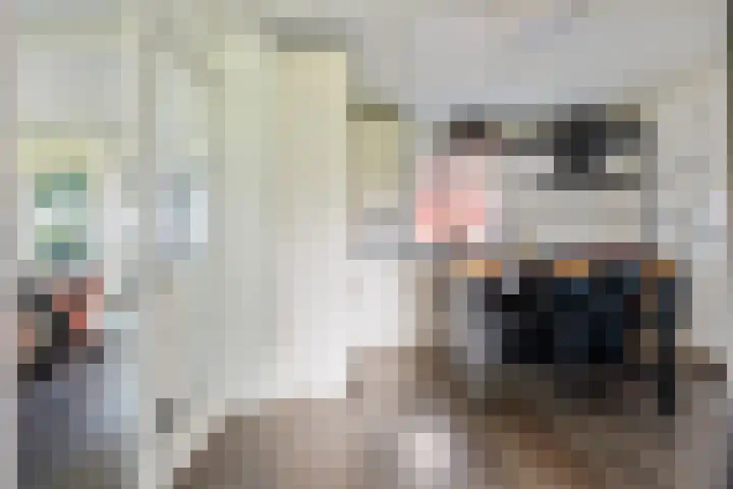 Oosteinde 52 Blijham thumbnail 24