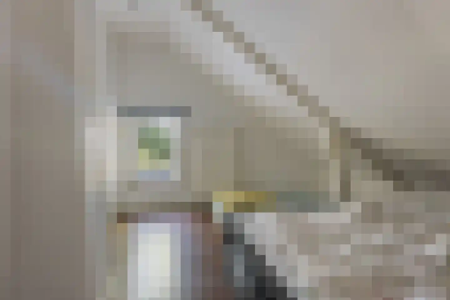 Oosteinde 52 Blijham thumbnail 33