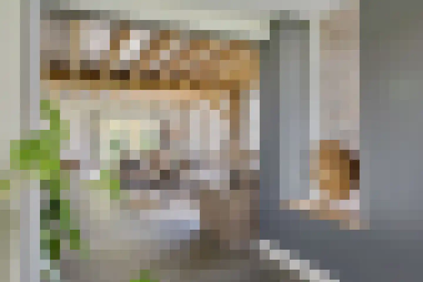 Oosteinde 52 Ruinerwold thumbnail 14
