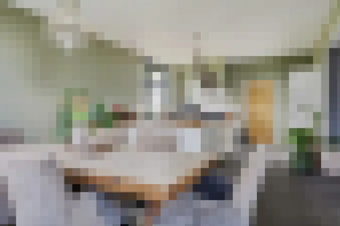 Oosteinde 52 Ruinerwold thumbnail 23