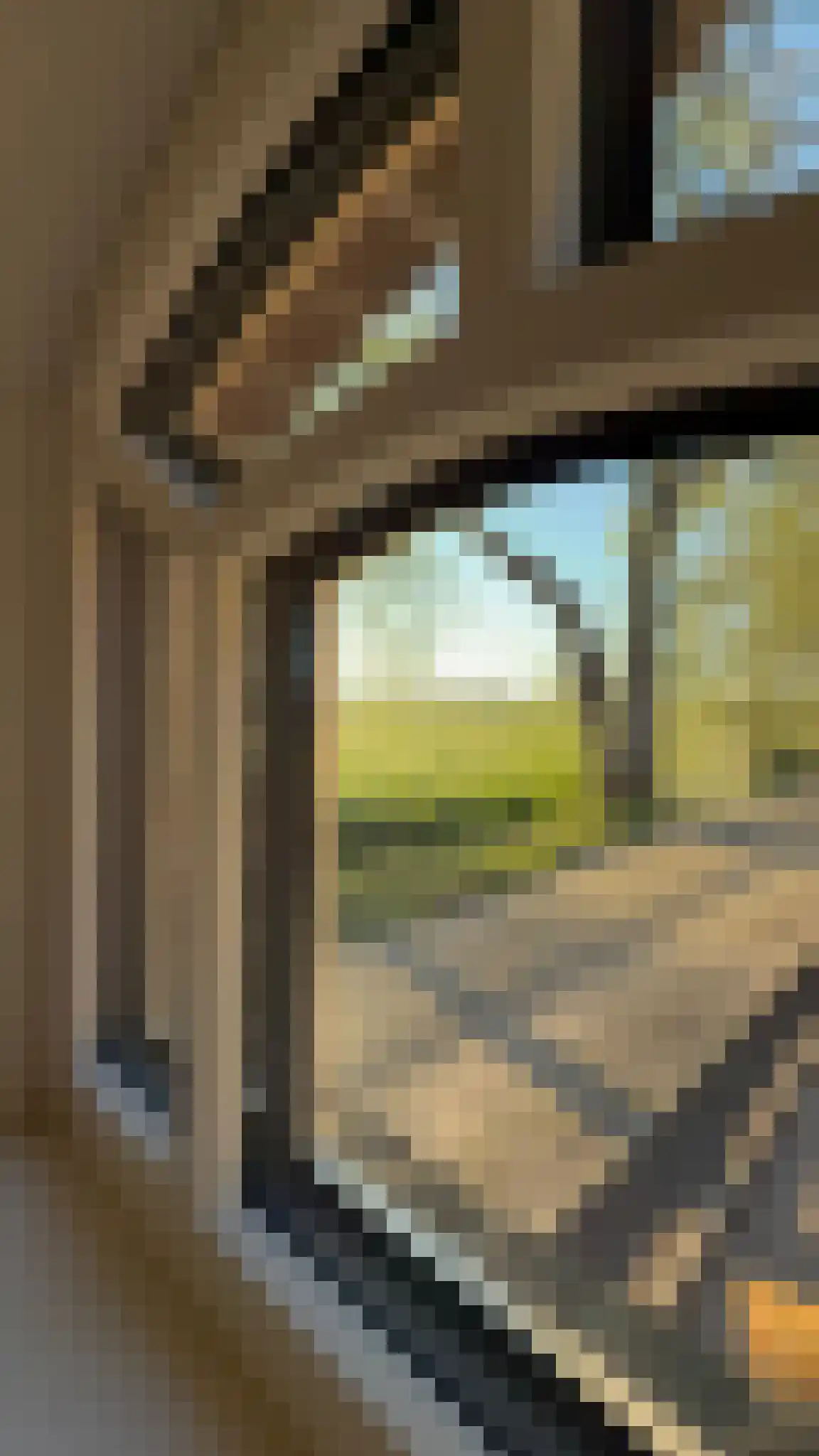 Oosteinde 52 Ruinerwold thumbnail 24