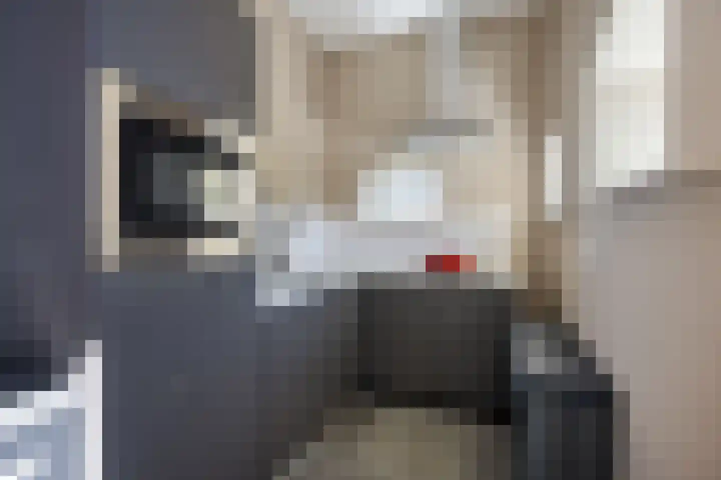 Oosteinde 52 Ruinerwold thumbnail 25