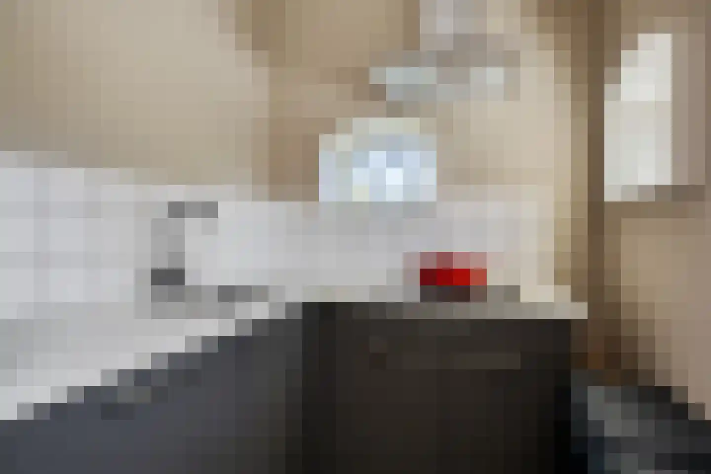 Oosteinde 52 Ruinerwold thumbnail 26