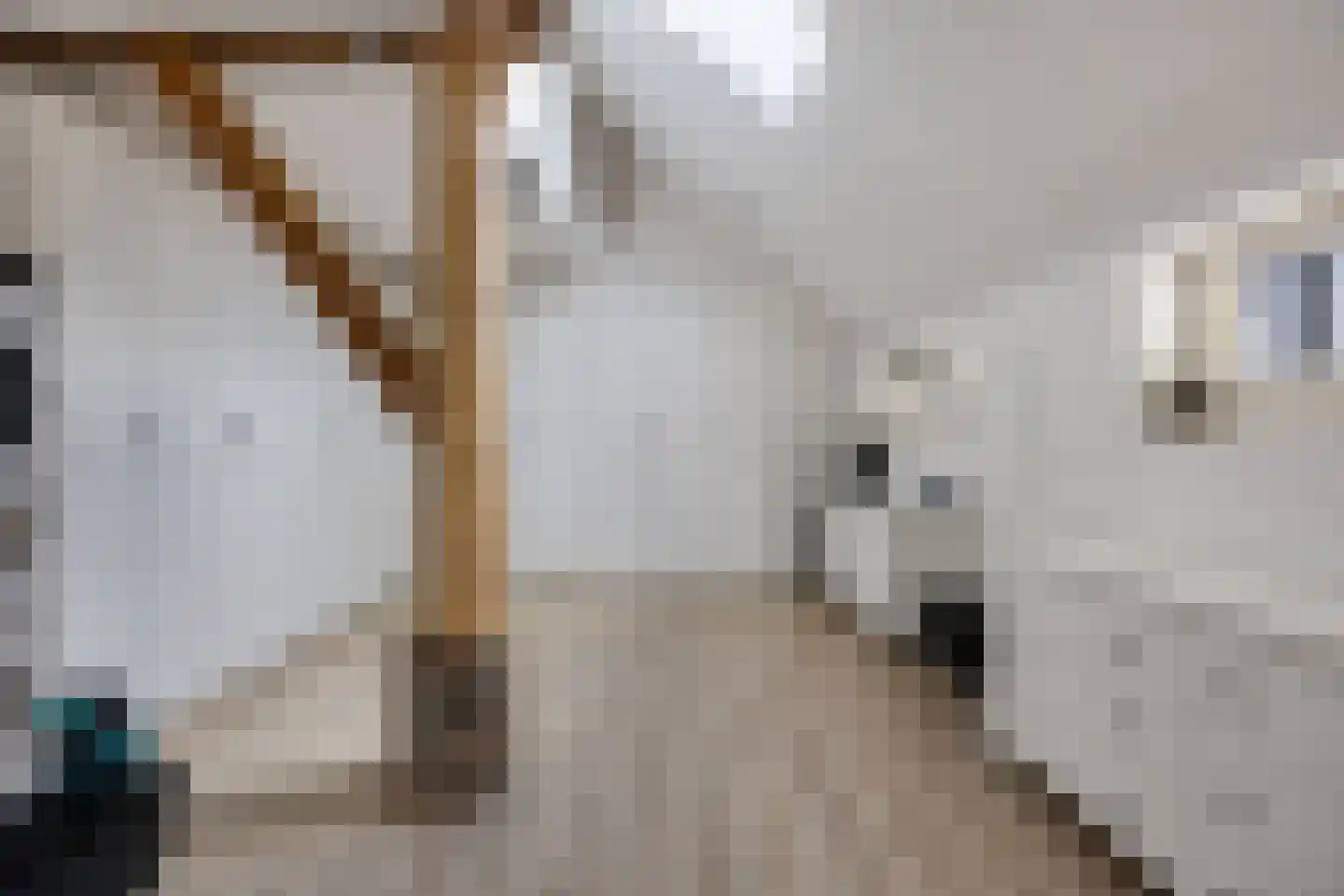 Oosteinde 52 Ruinerwold thumbnail 28
