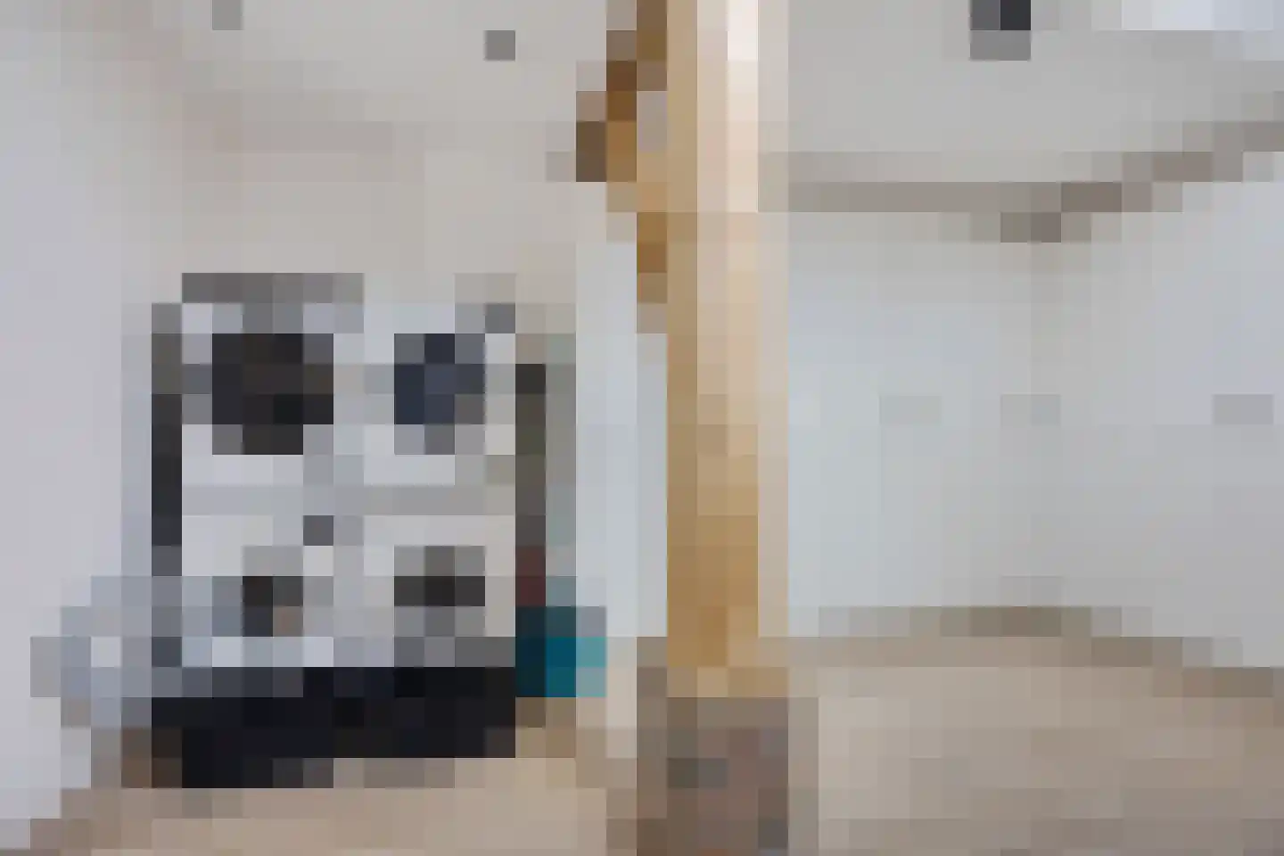 Oosteinde 52 Ruinerwold thumbnail 29
