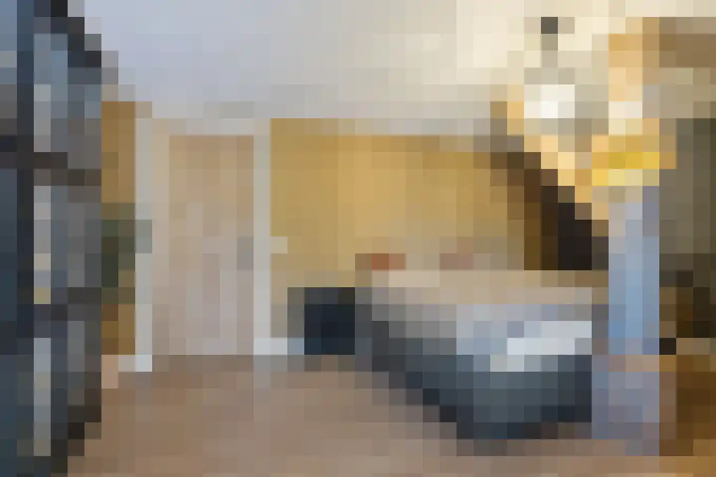 Oosteinde 52 Ruinerwold thumbnail 33