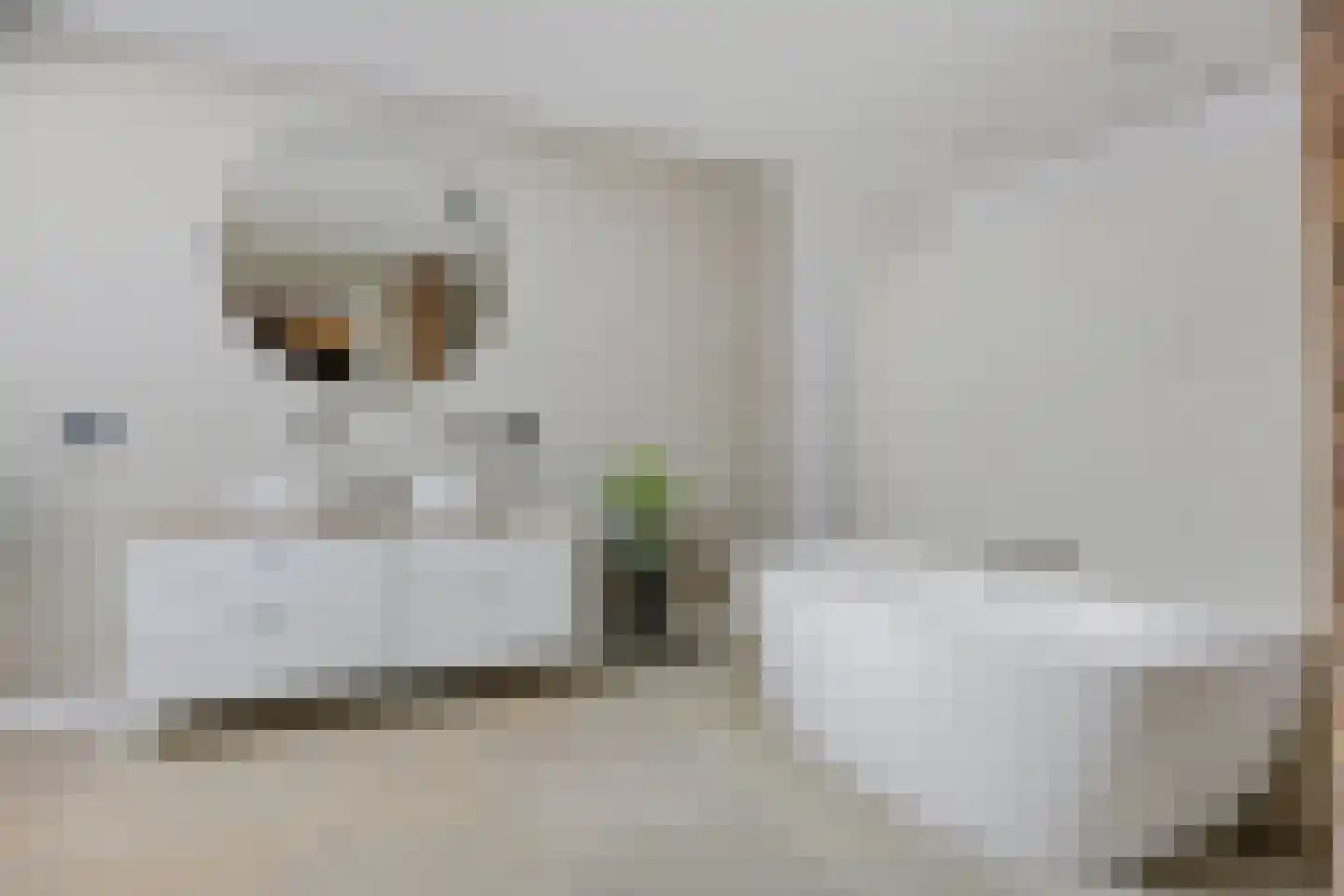 Oosteinde 52 Ruinerwold thumbnail 36
