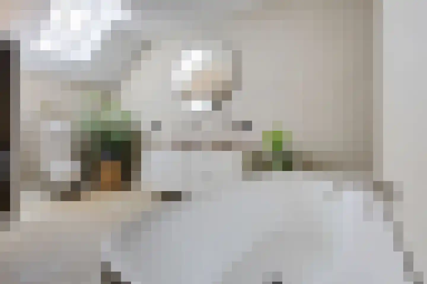 Oosteinde 52 Ruinerwold thumbnail 38