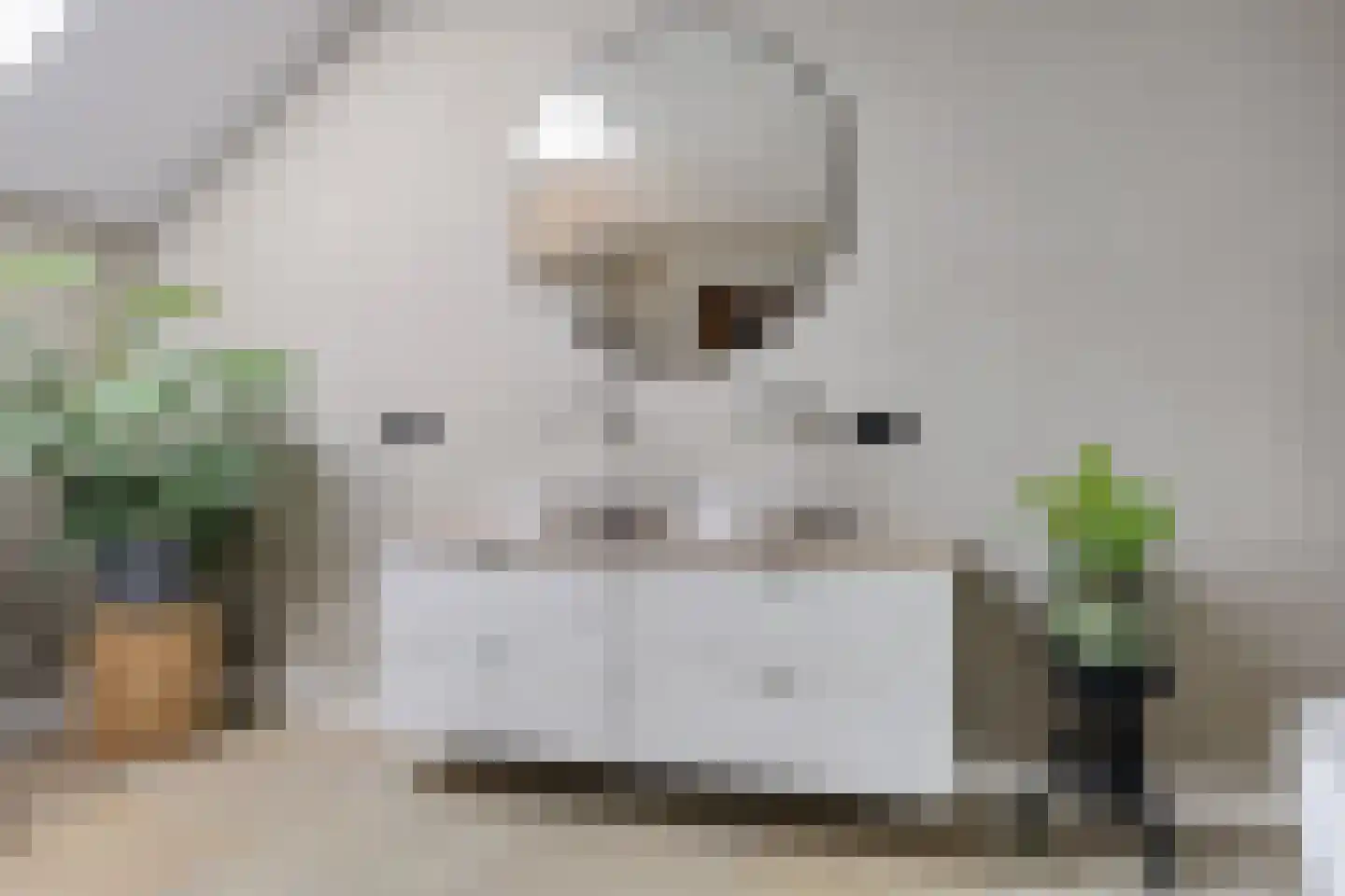 Oosteinde 52 Ruinerwold thumbnail 40