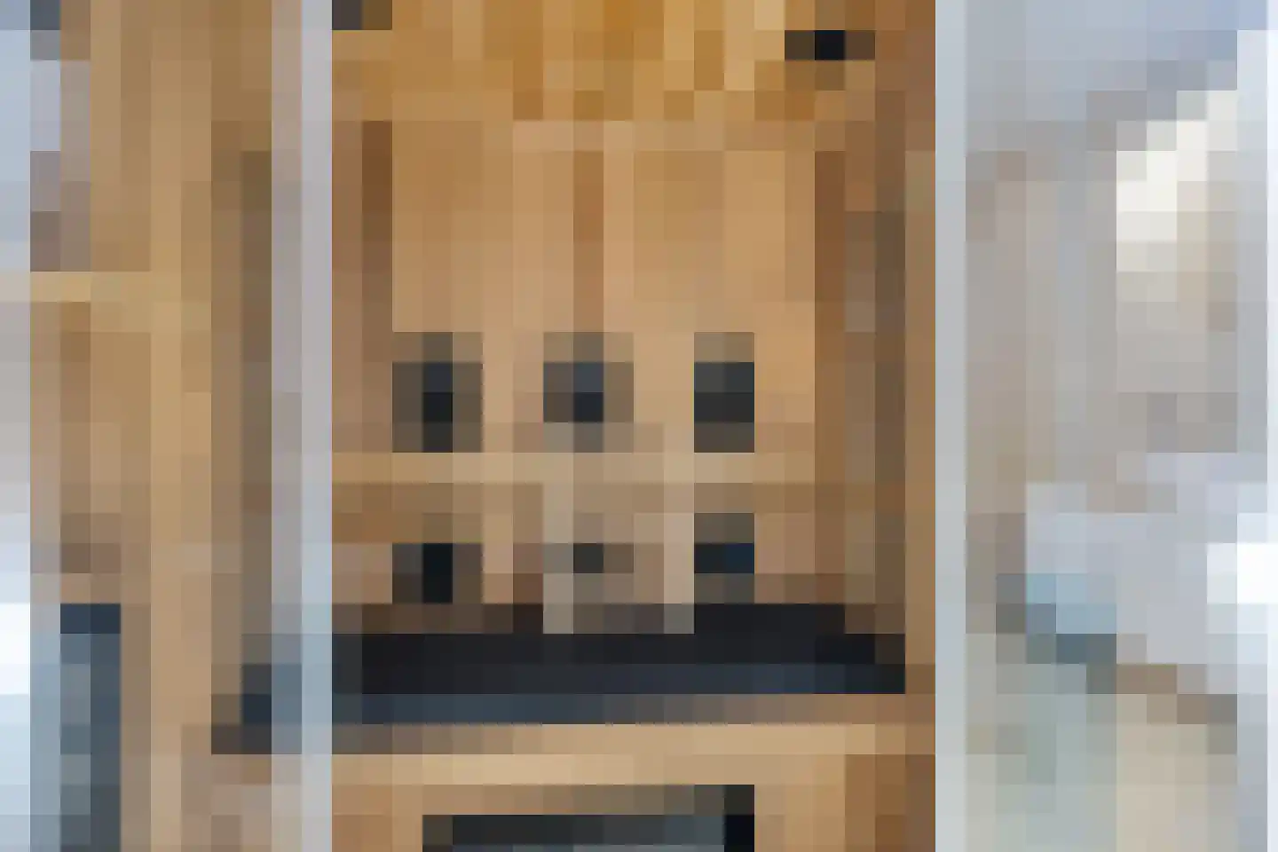 Oosteinde 52 Ruinerwold thumbnail 42