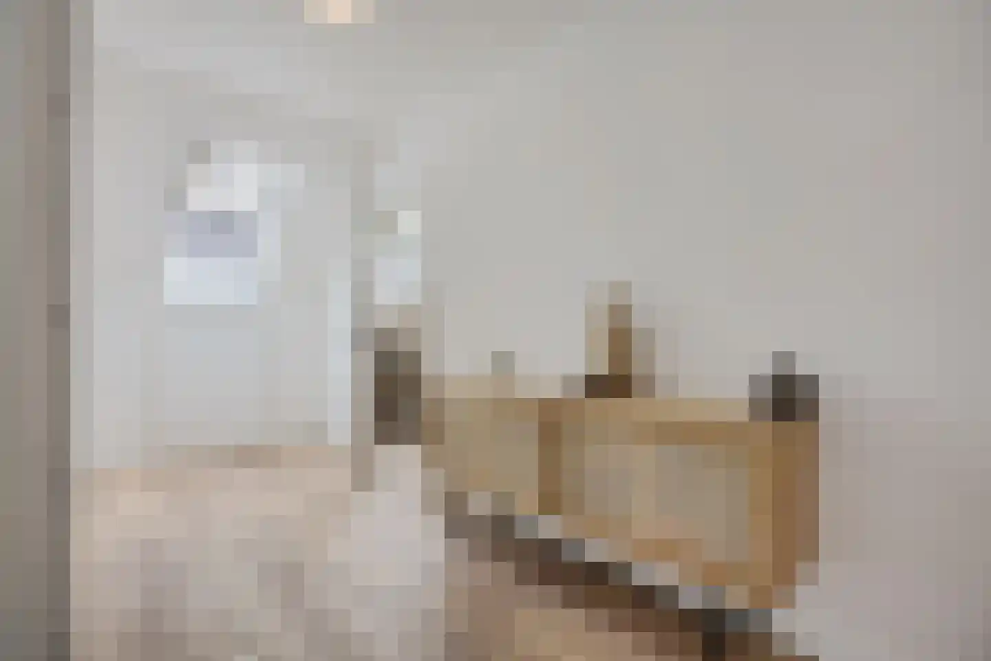 Oosteinde 52 Ruinerwold thumbnail 43